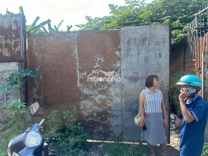 Nhà em có mảnh đất để trống to rộng cho thuê lâu dài 47/63 ao đôi btđ