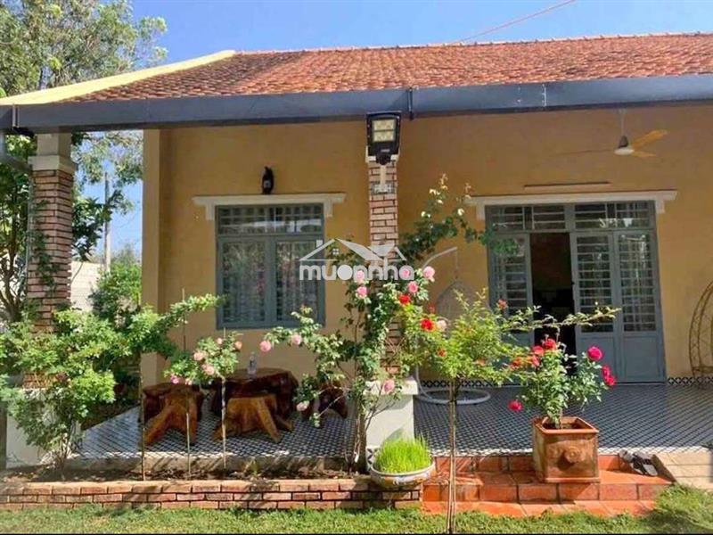 Chú an gửi bán căn nhà cấp 4