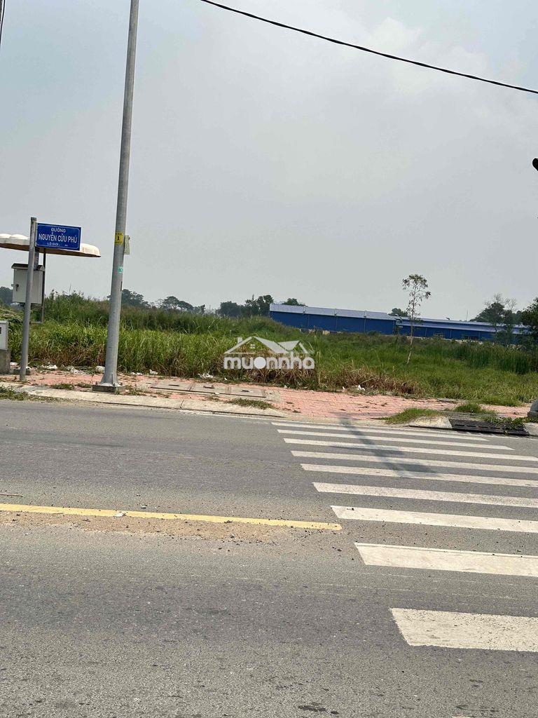 Cho thuê mặt bằng kho bãi mặt tiền võ trần chí - 2