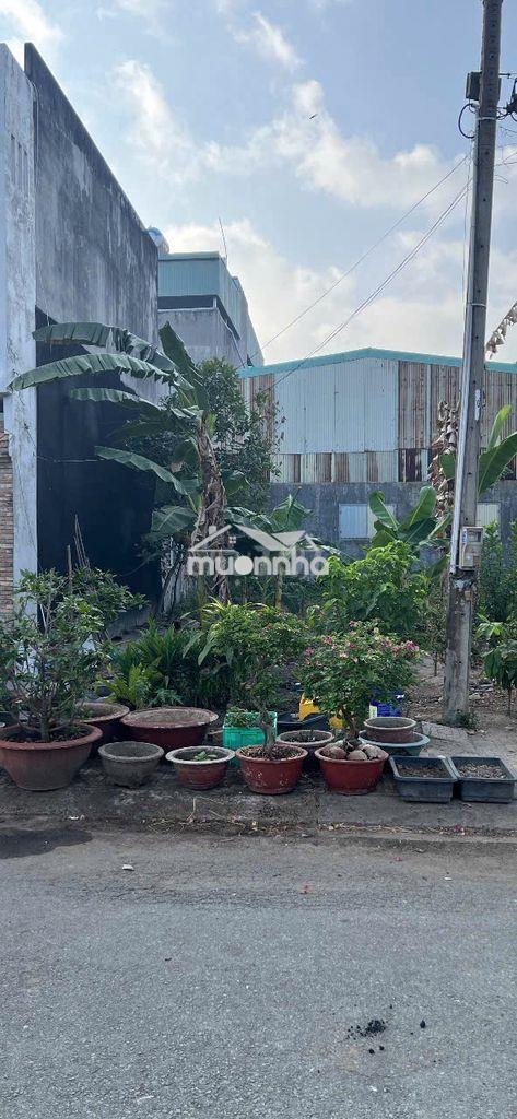 Cần bán đất 90 m2 tại kdc lavender tân triều - 2