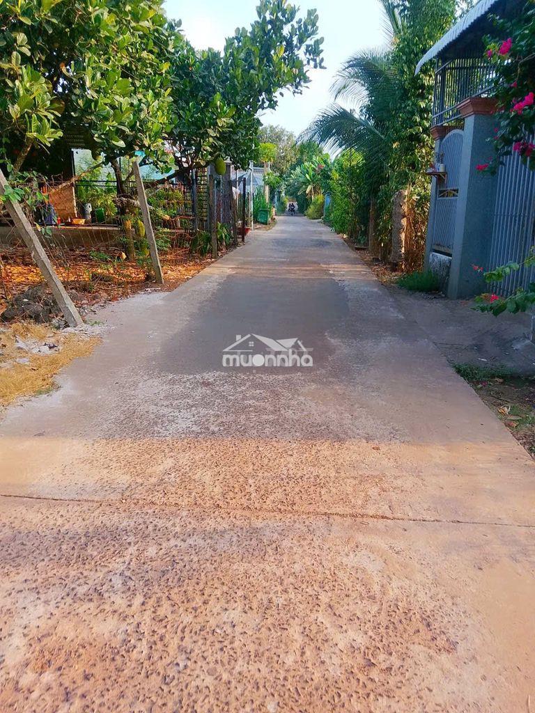 ‼️ 6tr/m² – đón sóng tp trung ương, phường dầu giây ‼️ - 4