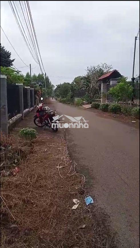 Đất nền thổ cư tại phường sông thao, tỉnh đồng nai, 100m² giá 1,5 tỷ