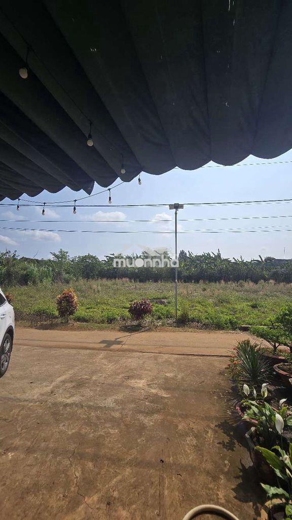 Đất gần kcn xuân quế - sông nhạn giá tốt, phù hợp phân lô, tách thửa - 4