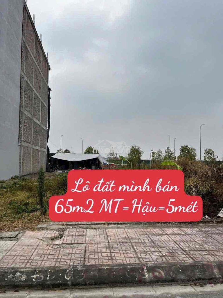 Bán đất phân lô đấu giá cự khối 65m2 mt=hậu =5mét