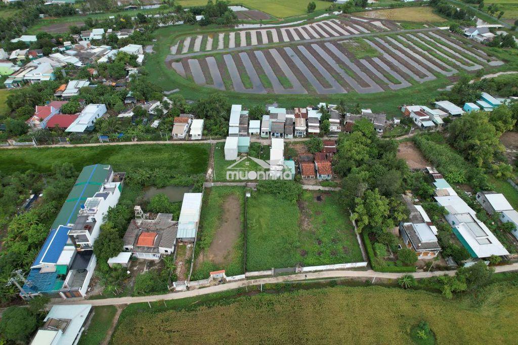 700m2 sát ql50 ngang 17,5m cực thoáng, ngay cụm chợ & trường học - shr - 3