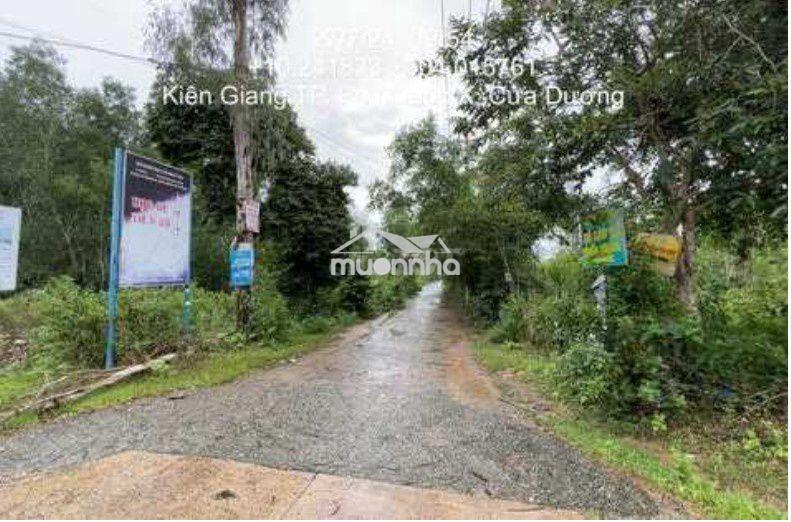🌴 Đất rộng 5.000 m² tại ấp bến tràm – cửa dương