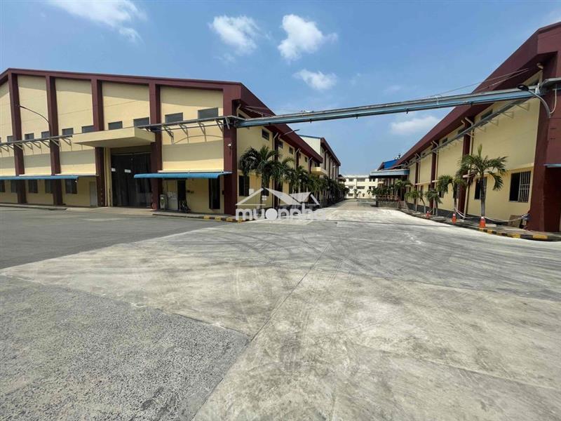 Kcn viship 2 cho thuê 4386m kho xưởng
