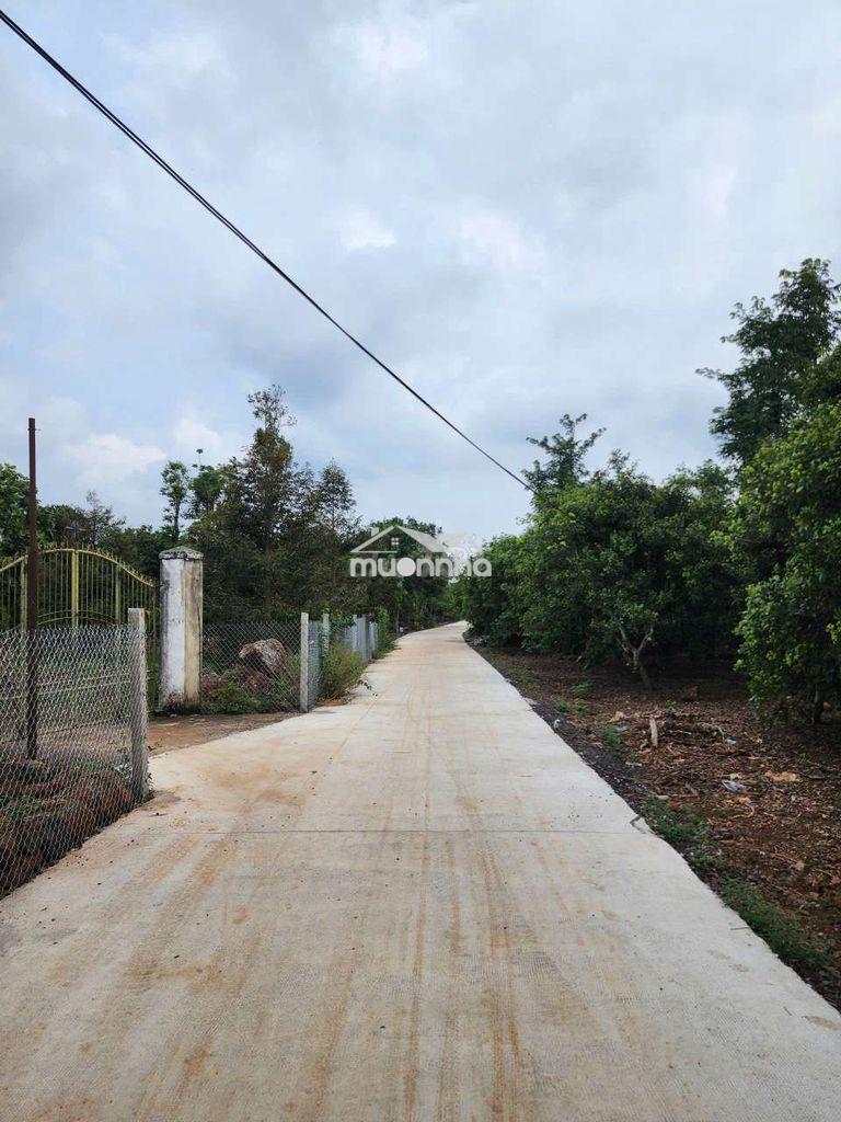 Đất long khánh vị trí tiềm năng , sát vành đai 1 - 3