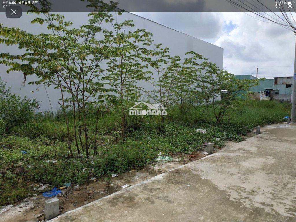 Đất bán gấp thổ cư thị trấn cần giuộc giá rẻ sổ hồng riêng - 3