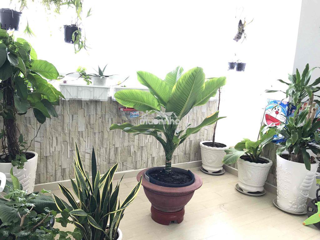 Bán căn hộ view đẹp chung cư era town đức khải phường tân mỹ tp hcm - 4