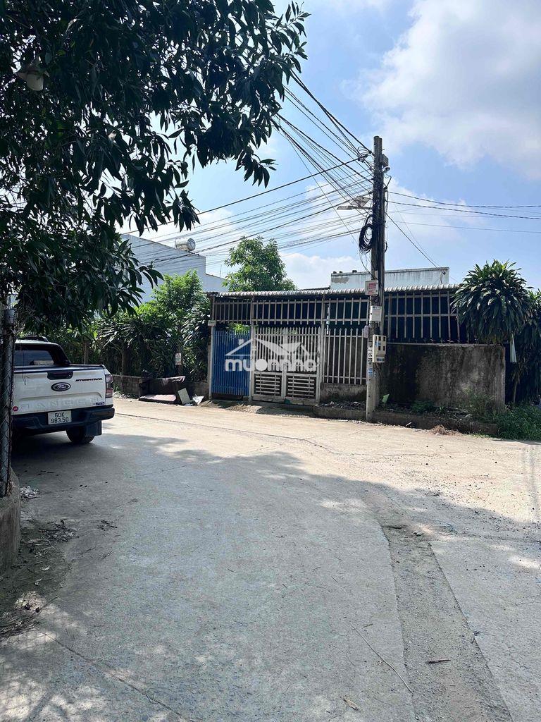 Bán đất thổ cư phường tân triều gần ngã tư tân bình shr full thổ cư - 2