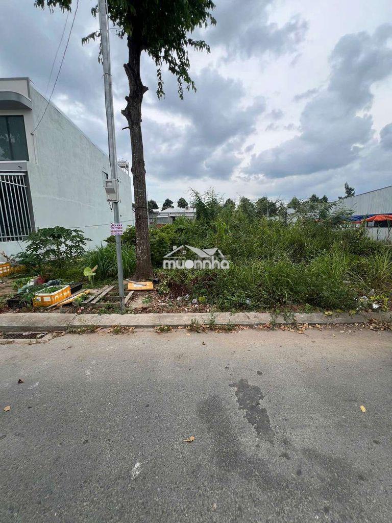 Cặp nền 180m² (10 × 18) đất ở đô thị - khu công nghiệp hoàng quân - 4