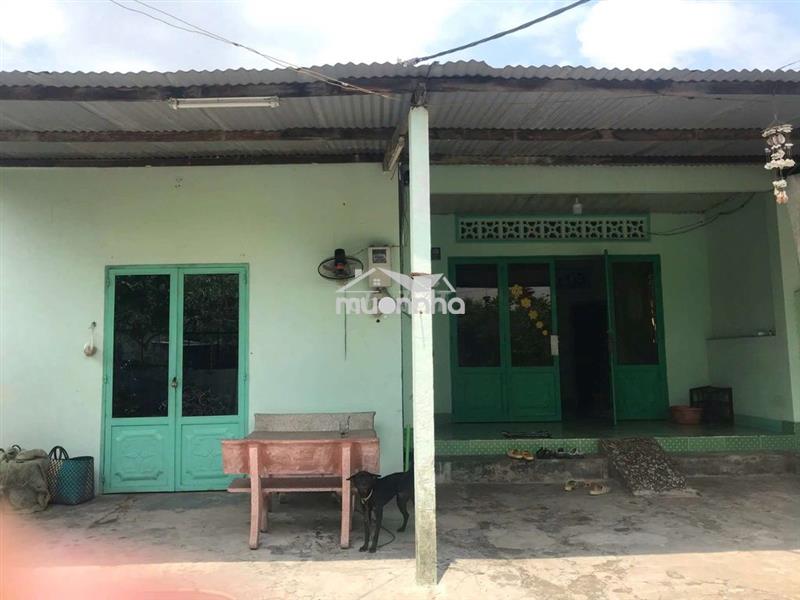 Bán 2 căn nhà liền kề phú hòa đông, shr, thổ cư, chính chủ