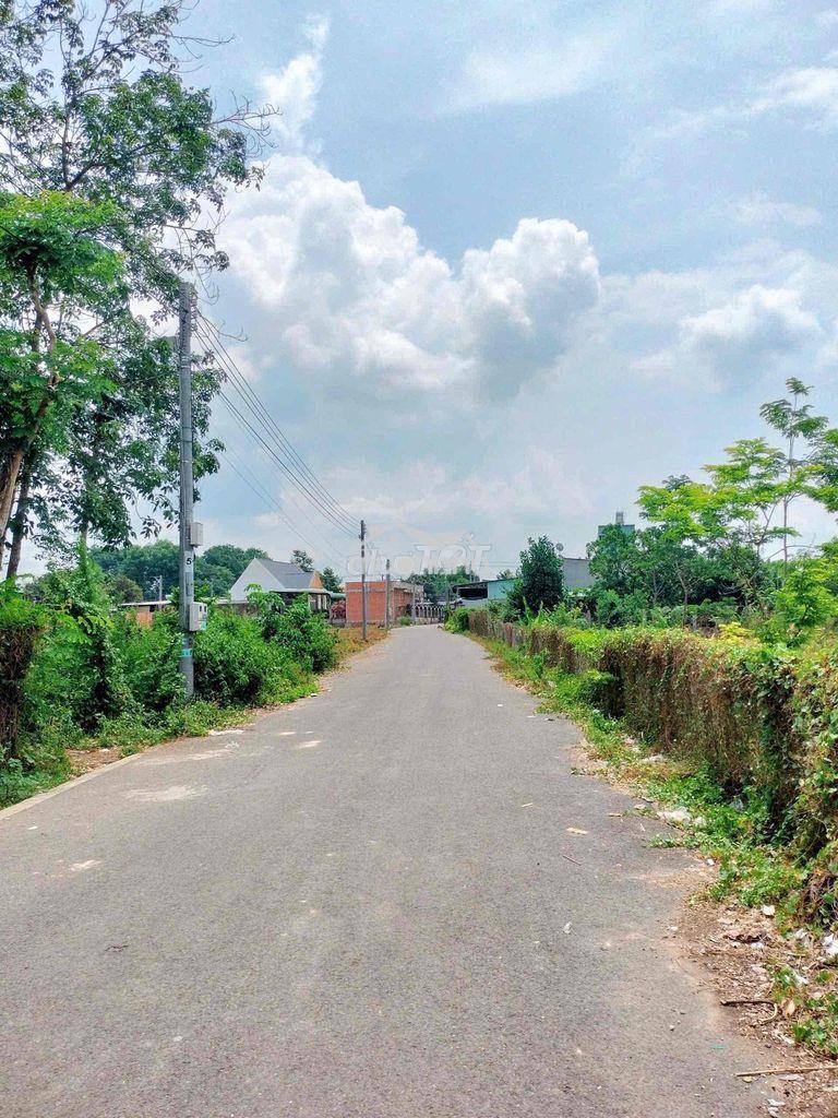 250m2 ngay chợ an linh giá 385tr sổ riêng sẵn thổ cư - 3