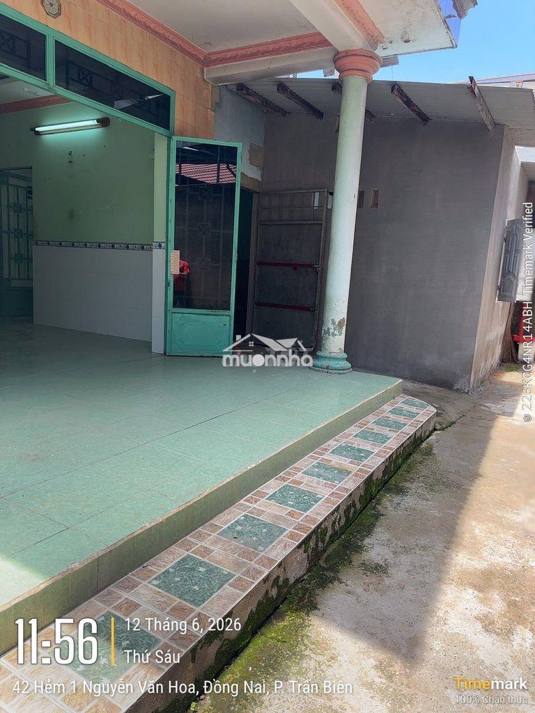 Cho thuê nhà nguyên căn phường thống nhất, biên hòa, đồng nai