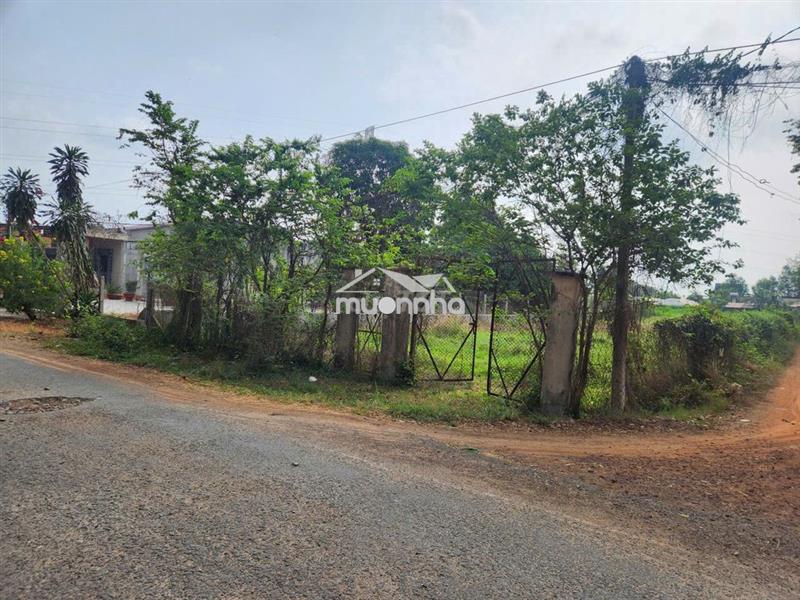 Chủ ngộp bán đất 58m2 ngay x.an tịnh trảng bàng giá 495 triệu