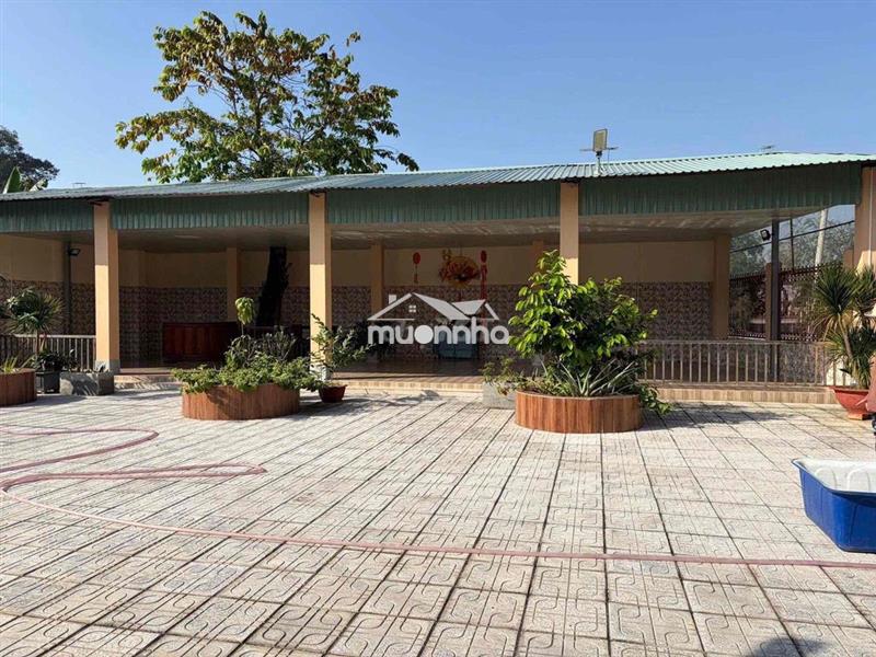 ✨Cho thuê 800m2 mbkd có nhà tại trung tâm thủ dầu một, bình dương(g