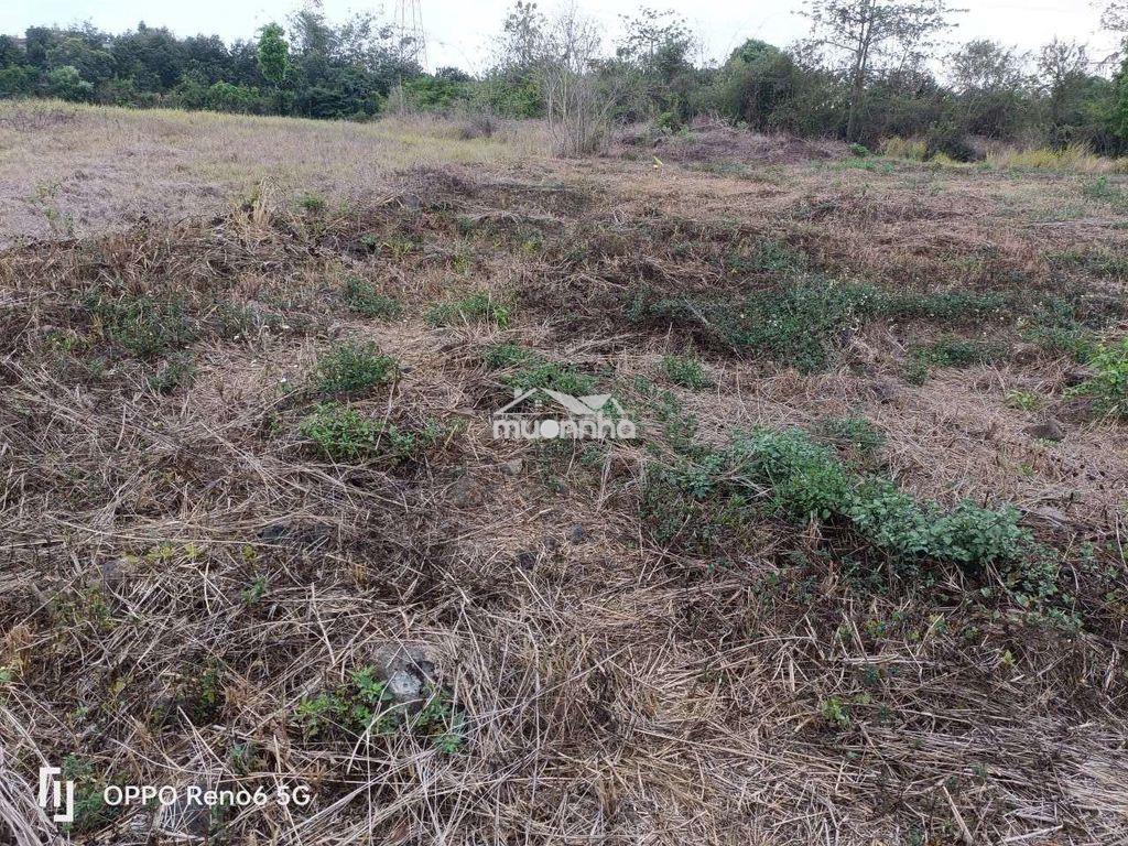 Chính chủ bán gấp 2,2ha đất nn nhiều mt cách nhựa 150m, phù hợp đầu tư - 2
