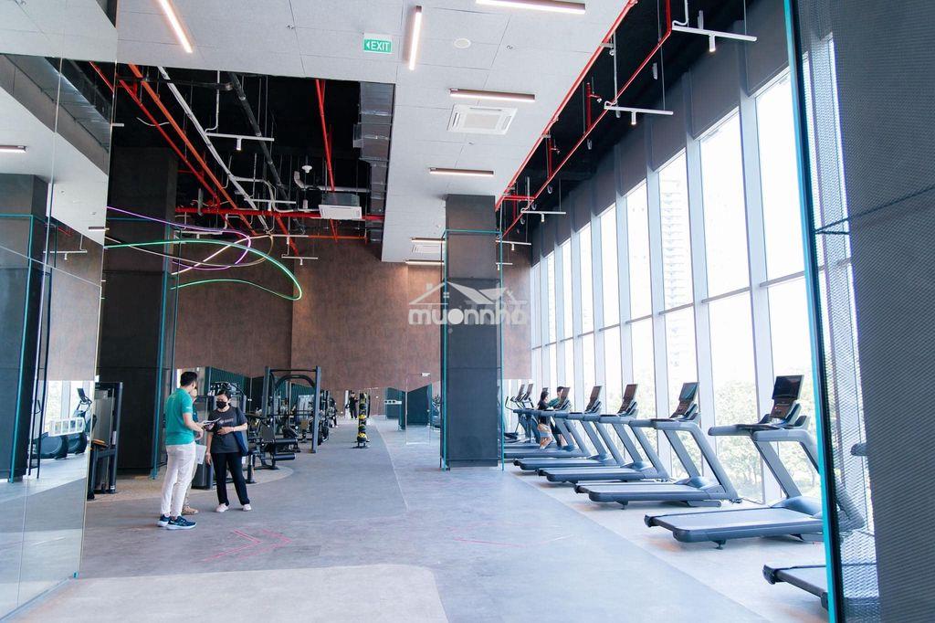 ⭐Chuyên thuê celesta rise tiện ích 5* 1pn-2pn-3pn chỉ từ 11 triệu - 2