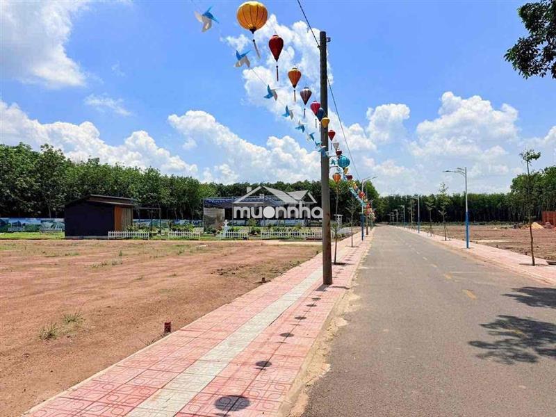 Bán gấp