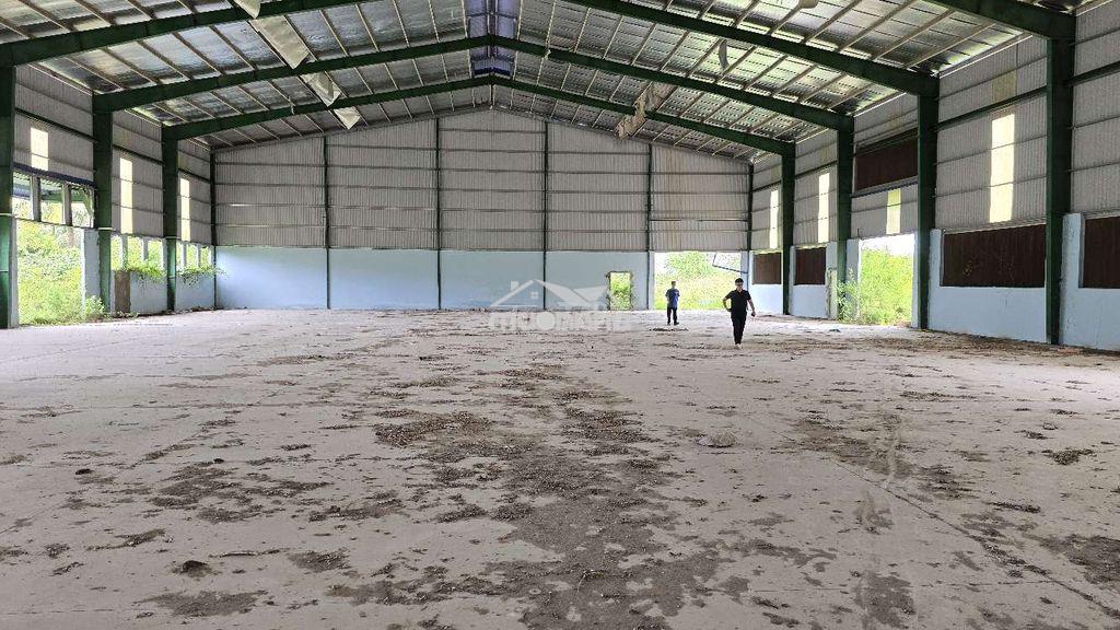 Bán kho xưởng 17155m2 tại dt 833, p5, tân an cũ - 4