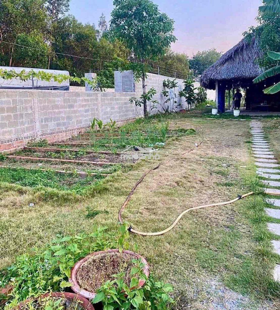 Đất vườn giá rẻ - 2