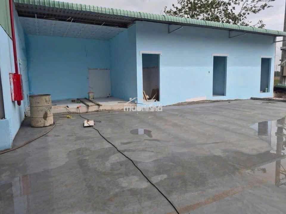 Cho thuê xưởng hội nghĩa tân uyên bình dương - 2