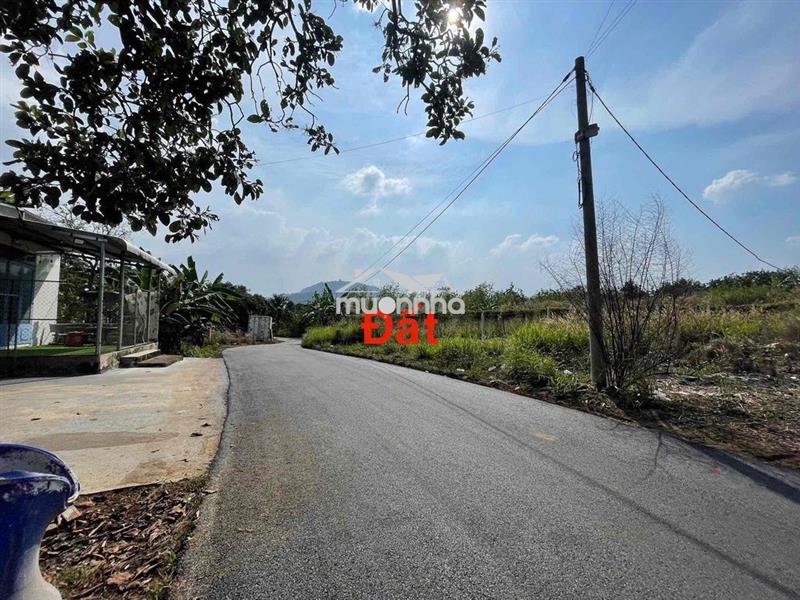 Đất nền đồng nai - gia kiệm