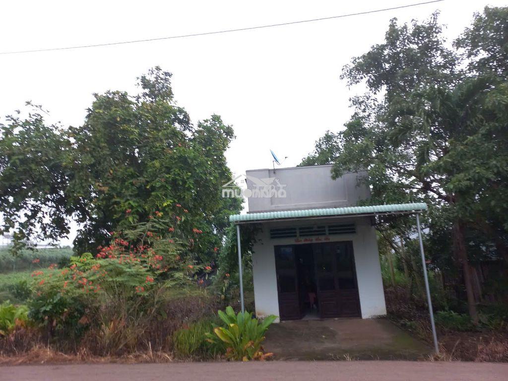Chính chủ cần bán đất tại ấp 1, xuân tây, cẩm mỹ, đồng nai, 1827.4m2 - 2