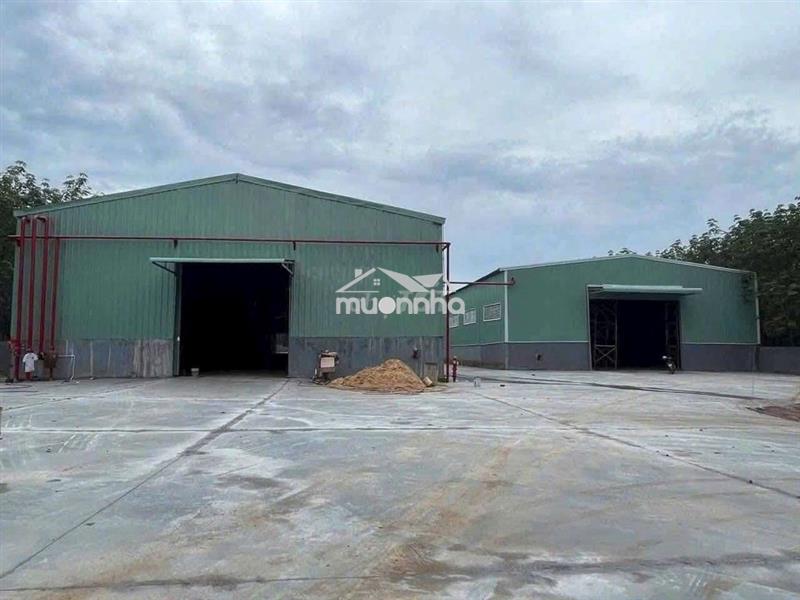 Cho thuê xưởng vĩnh tân , gần vsip 2 bình dương