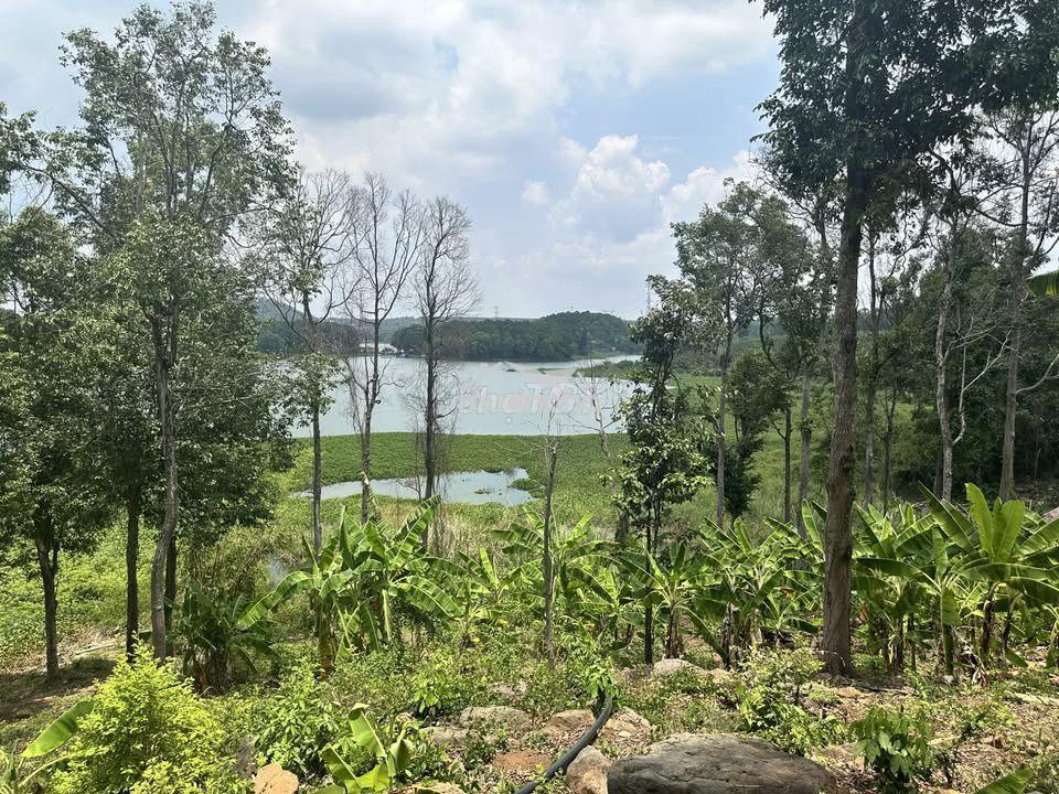 🌊 Chạm mắt là muốn ở – đất view hồ trị an chỉ 1 tỷ/sào 🌊 - 4