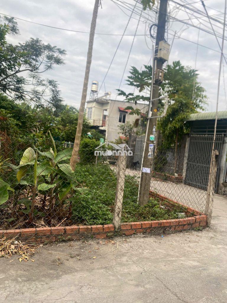 Cần bán nhanh ,giá còn thương lượng - 3