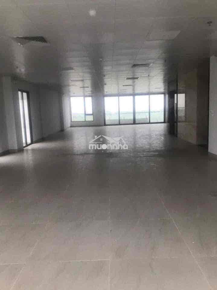 Toà nhà 9 tầng 270 m x9 tầng pccc có mới làm công ty văn phòng