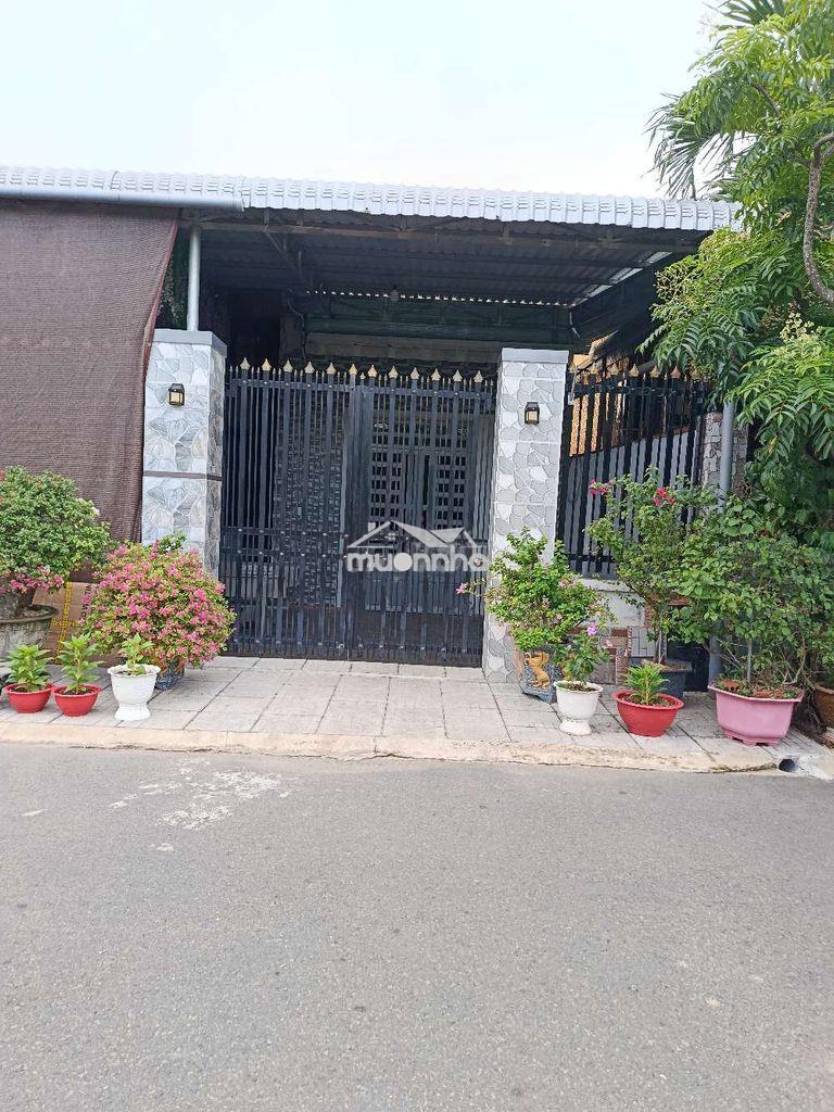 Cho thuê nhà nguyên căn châu pha - phú mỹ - brvt