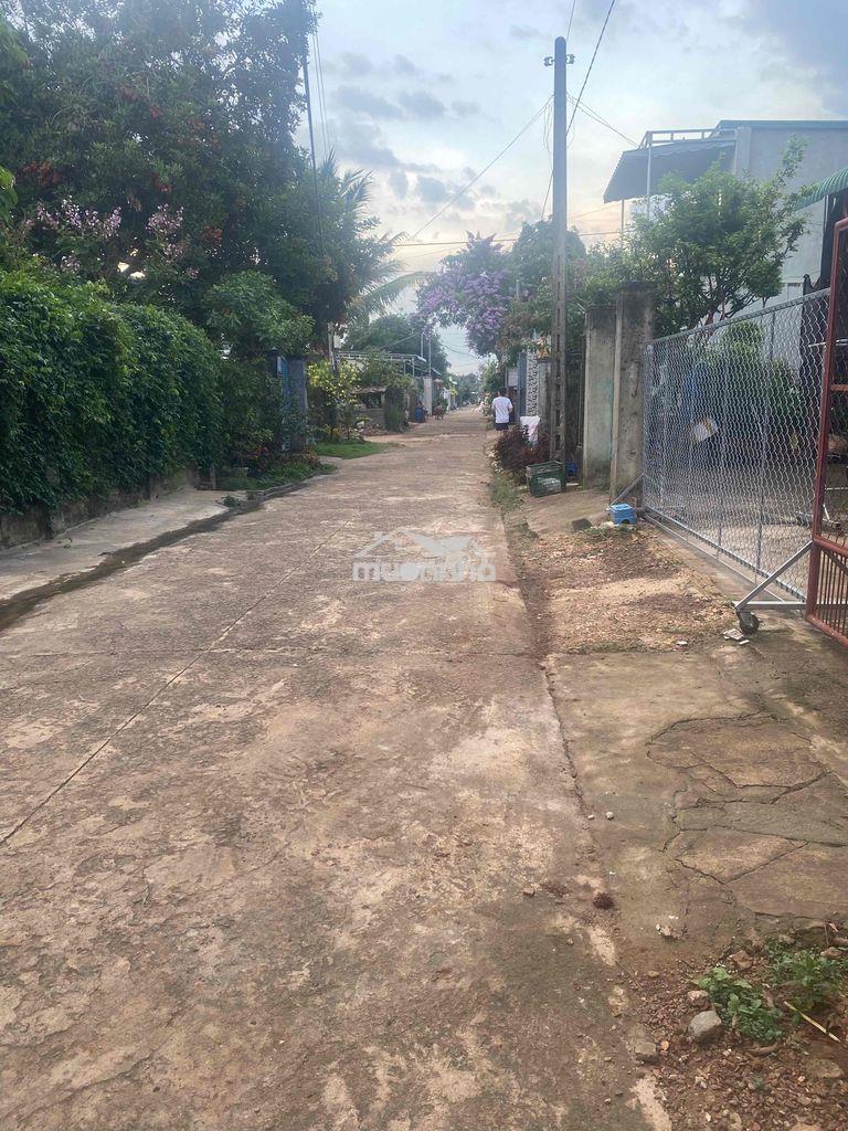 Cần bán gấp đất ở đồn điền 1 túc trưng - 2