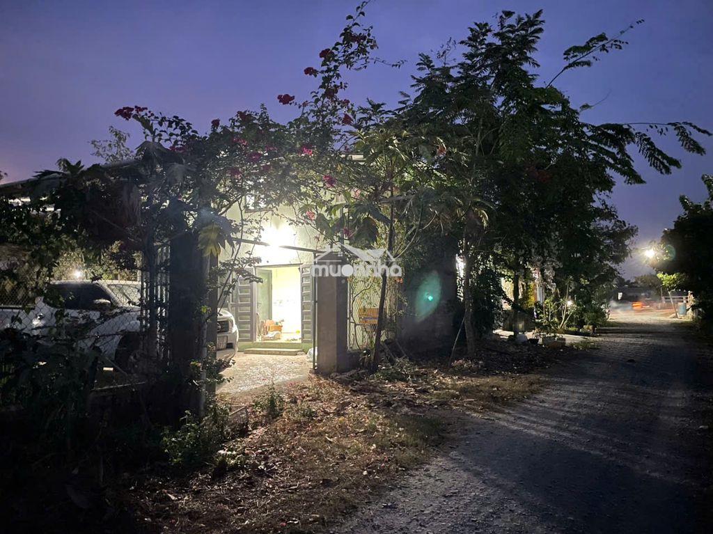 Cho thuê nhà 2 tầng, 250m2 ấp 5 xã tam an, 500m ra kcn long thành, bxh - 3