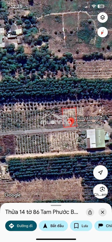 Chính chủ bán 106m2 đất tại tam phước, biên hoà, đồng nai - 3