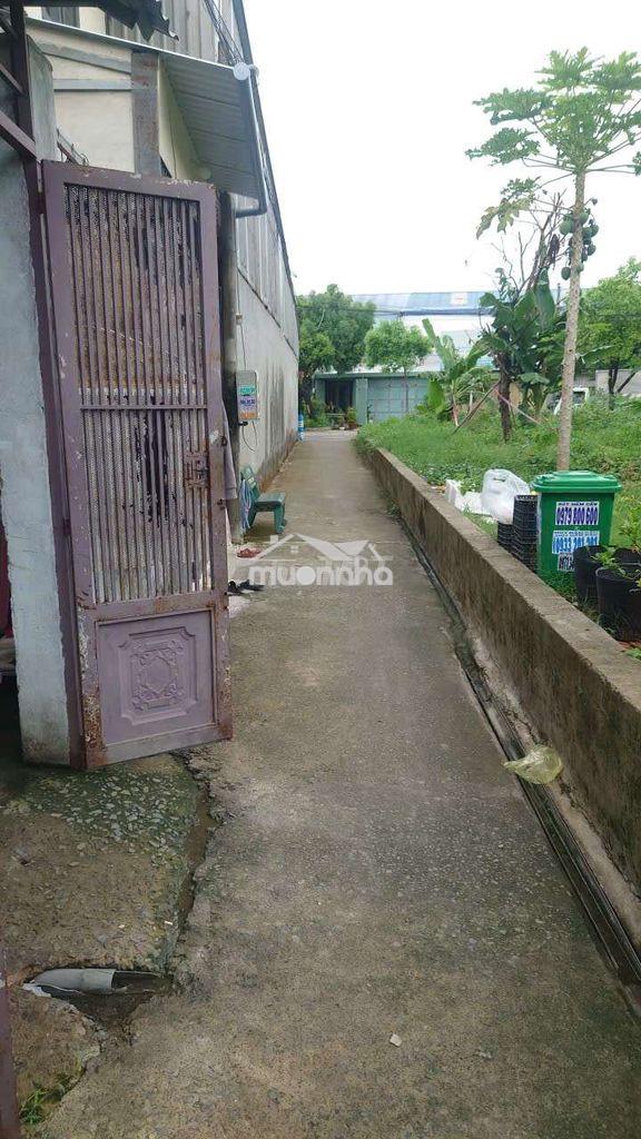 Gần nhà máy nước tân hiệp hóc môn