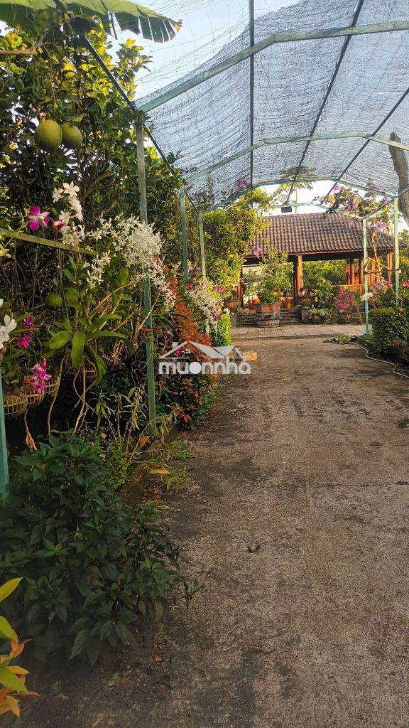 Đất nền thổ cư trên đường sông thao, đồng nai, diện tích 4845m², 10 tỷ - 3