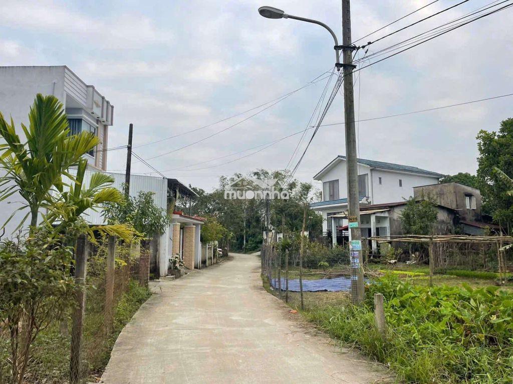 Đất trồng cây hằng năm kẹp giữa 2 nhà dân ở, 1100m2 - 3