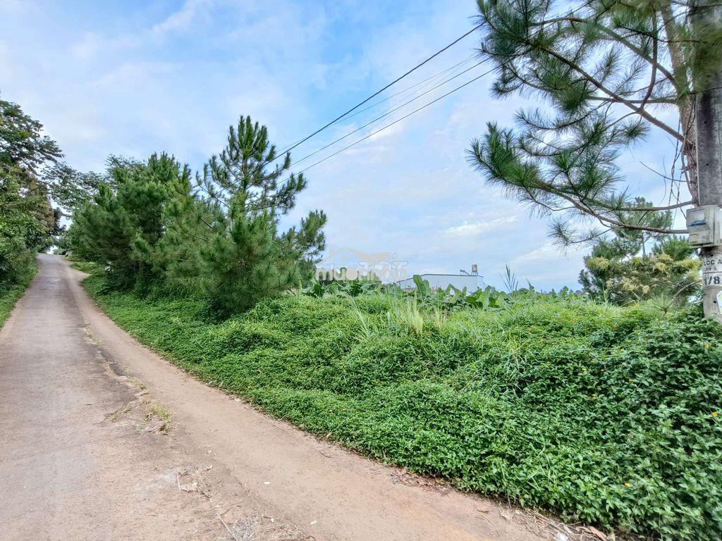 Bán đất gần chợ lộc an - 4