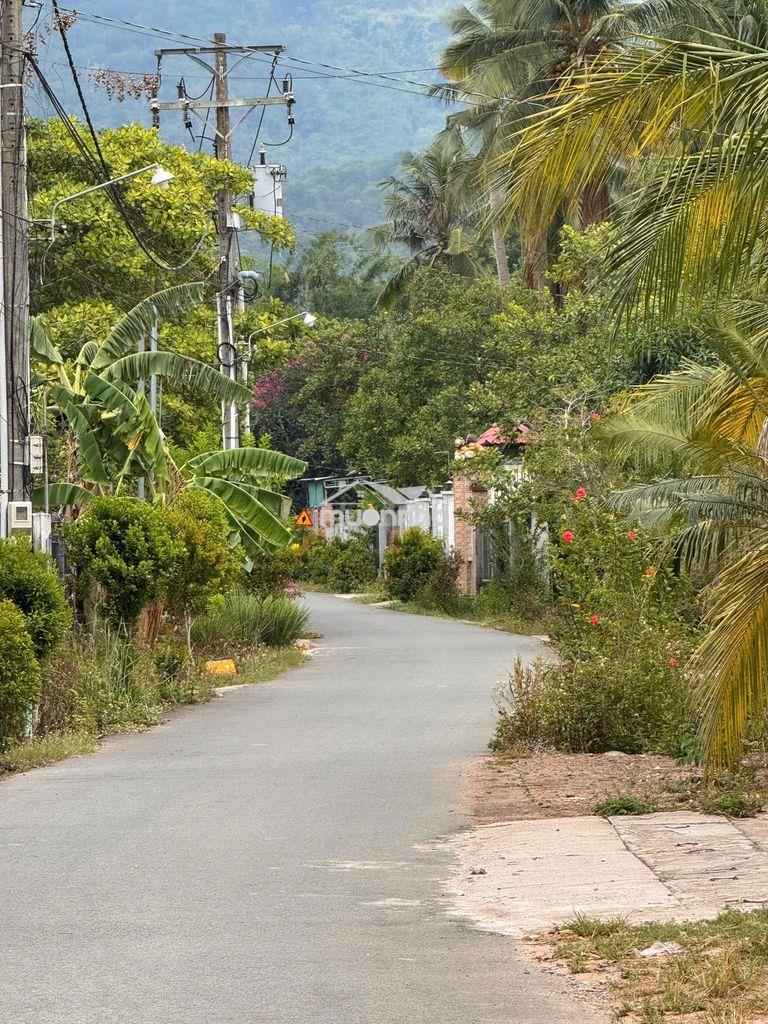 🎯 Bỏ phố lên núi - lô đất 360.7m² view núi chứa chan đầy tiềm năng! 🎯 - 3