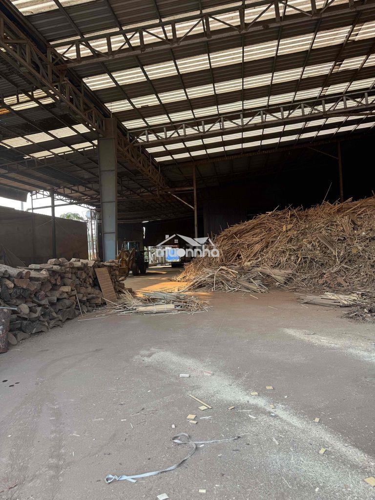 Cho thuê xương sản xuất viện nén phú giáo bình dương - 3