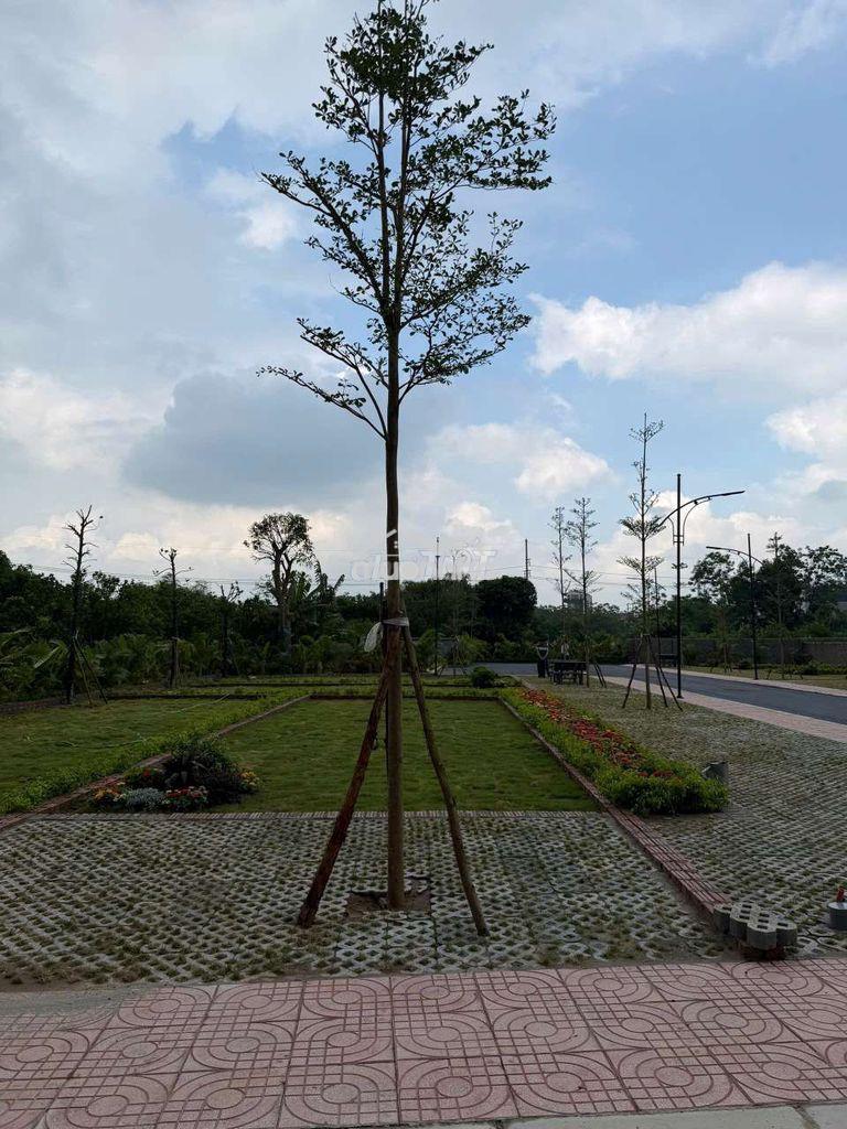 Đất 100m² cổng 8 đhqg hà nội, dân đông, xây trọ ngay - 2