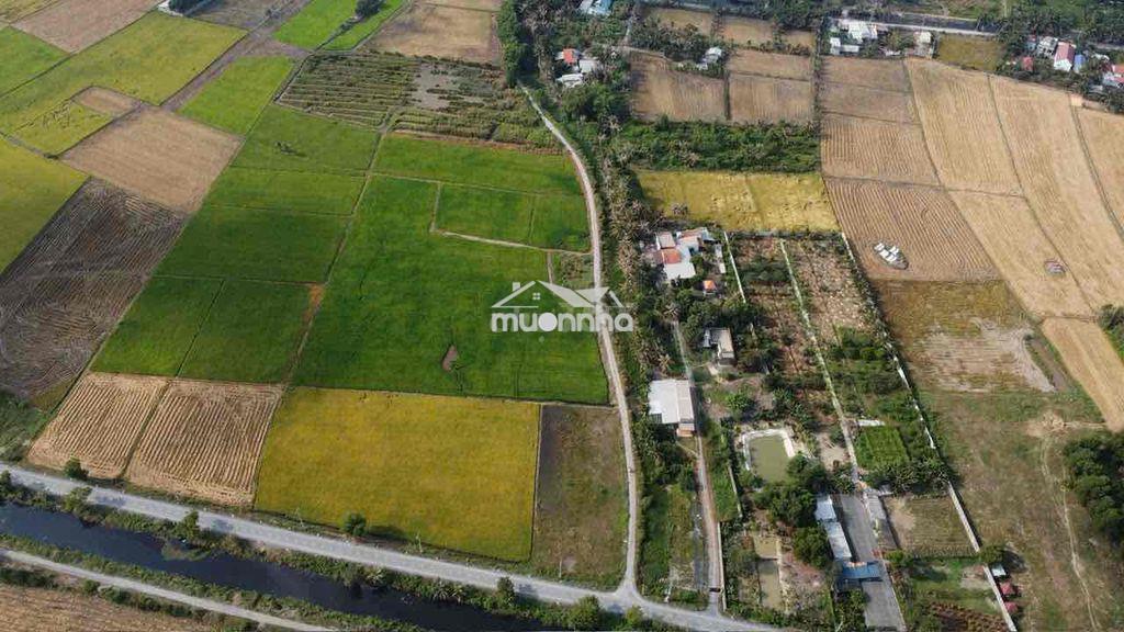 2000m2 đất nông nghiệp - tân nhựt - 4