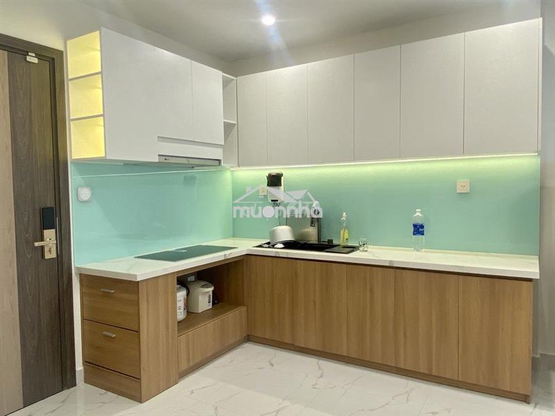 Cho thuê căn hộ cao cấp vinhomes grand pak bs10