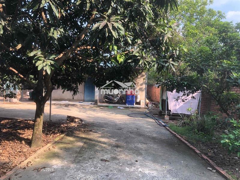 Cơ hội đầu tư: đất vườn chính chủ xã trị an, vĩnh cửu, đường xó