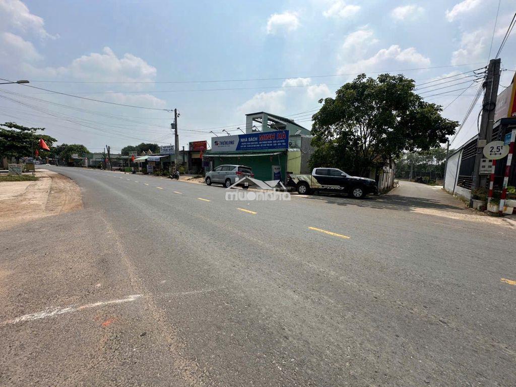 Chủ ngộp bán vườn mít 5x50=250m2, shr, thổ cư, ngay tthc, giá 420tr - 4