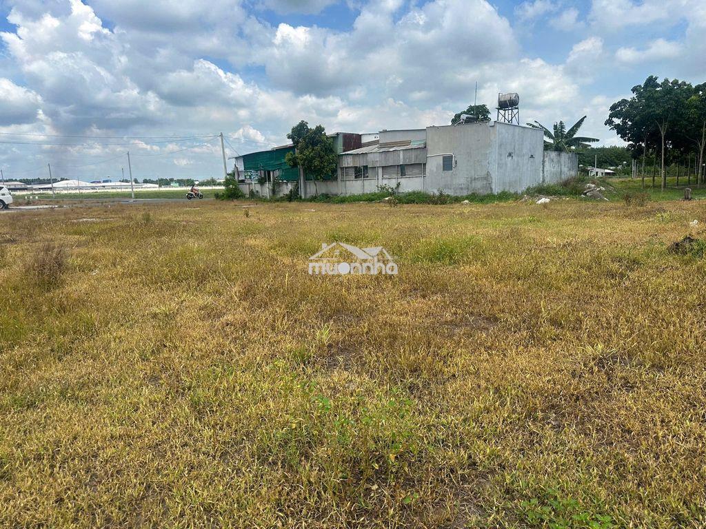 Hai lô đất thổ cư 430m² tại dự án diamond city, chơn thành, bình phước - 2