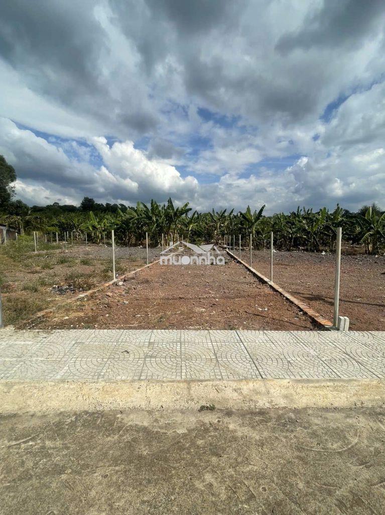 Bán lô đất ở phường dầu giây (xã hưng lộc cũ), tp. đồng nai. - 3